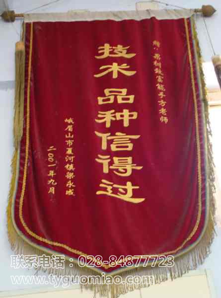 技术过硬表彰