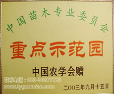 示范点