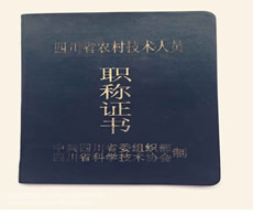 职称证书